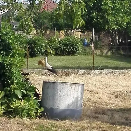 Kupai Apartman Tiszaujvaros